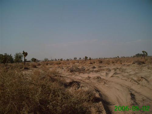 D_Razavi_046