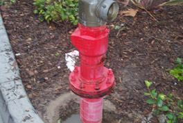 Broken Fire Department Connection Valve