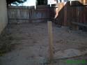 Calle_Mazatlan_005
