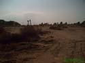D_Razavi_029