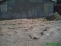 D_Razavi_030