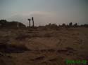 D_Razavi_032
