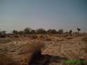 D_Razavi_047